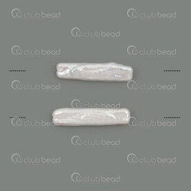 1113-0181-22 - Perle d'Eau Douce Bille Tube (approx. 22x6mm) Eclat Naturel Argent Trou 0.5mm 2pcs 1113-0181-22,Tube argent,montreal, quebec, canada, beads, wholesale