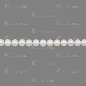 1113-0210 - Fresh Water Pearl Bead Round 10-11mm White/Light Pink AA Quality 13'' String 1113-0210,Beads,Pearls for jewelry,Clearwater,Bead,Natural,Fresh Water Pearl,10-11mm,Round,Round,White/Light Pink,AA Quality,China,13'' String,montreal, quebec, canada, beads, wholesale