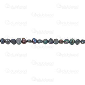 1113-0269-032 - Freshwater Pearl Bead Flat Potato 5x6-7mm Peacock no curve 0.5mm Hole 13in String !LIMITED QUANTITY! 1113-0269-032,Billes dos plat,montreal, quebec, canada, beads, wholesale