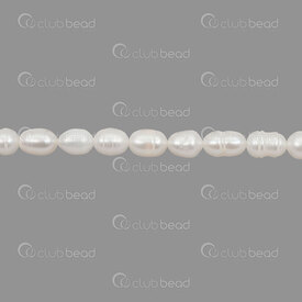 1113-0312 - Fresh Water Pearl Rice 5-6mm White 0.5mm hole 13" String (approx.55pcs) 1113-0312,Beads,Pearls for jewelry,Clearwater,montreal, quebec, canada, beads, wholesale