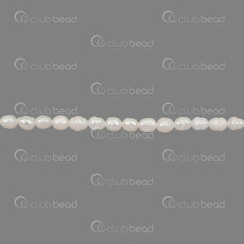 1113-0708-WH - Perle d'Eau Douce Bille grain de Riz approx. 5x5mm Blanc Trou 0.5mm Corde 13po 1113-0708-WH,Fresh Water,montreal, quebec, canada, beads, wholesale