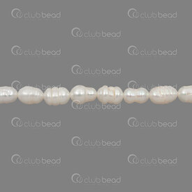 1113-0716-WH - Perle d\'Eau Douce Bille grain de Riz 8x5.5-6mm Blanc Trou 0.5mm Corde 13po 1113-0716-WH,Billes,Perles pour bijoux,D'eau douce,montreal, quebec, canada, beads, wholesale