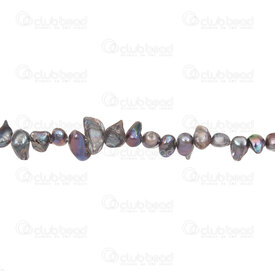 1113-9050-20 - Perle d’Eau Douce Bille Grosse Forme Libre Paon-Gris approx. 5x9mm 1 Corde 1113-9050-20,1113-9050,montreal, quebec, canada, beads, wholesale