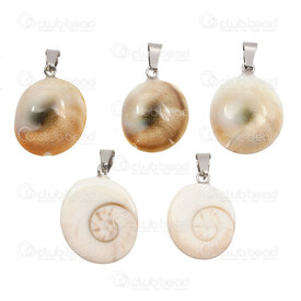 1114-0010 - Coquillage Pendentif Oeil de Sainte-Lucie Spiral (approx. 21mm) avec Beliere 5pcs 1114-0010,Pendentifs,Coquillage,montreal, quebec, canada, beads, wholesale
