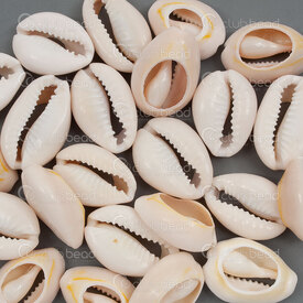 1114-0012-02 - Shell Pendant Cowrie app. 23x15x7mm Natural 50g (app. 20pcs) 1114-0012-02,Coquillage,montreal, quebec, canada, beads, wholesale