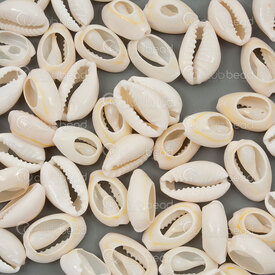 1114-0012-14 - Shell Pendant Cowrie approx. 13-14x9mm Natural 50gr !LIMITED QUANTITY! 1114-0012-14,Pendants,Shell,montreal, quebec, canada, beads, wholesale
