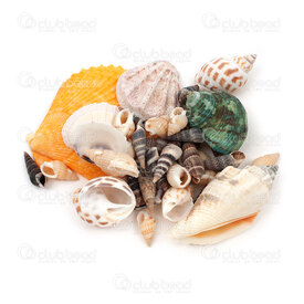 1114-0016-MIX - Natural Shell Mix Various Size-Shape-Color no hole 100gr 1114-0016-MIX,Pendants,Shell,montreal, quebec, canada, beads, wholesale