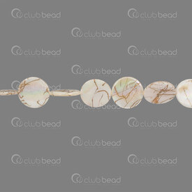 1114-0079-20 - Shell Bead Flat Round 20x3mm AB with Gold Line 0.5mm hole 15" String !LIMITED QUANTITY! 1114-0079-20,montreal, quebec, canada, beads, wholesale