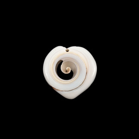 *1114-0116 - Lake Shell Bead Strombus Luhuanus App. 25mm Ivory 10pcs *1114-0116,montreal, quebec, canada, beads, wholesale