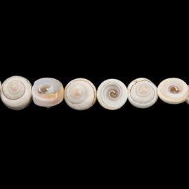 *1114-0118 - Lake Shell Bead Strombus Luhuanus App. 10x15mm Ivory 16'' String *1114-0118,montreal, quebec, canada, beads, wholesale