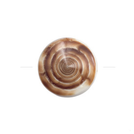 *1114-0160 - Lake Shell Bead Coin 30MM Snail 1pc Philippines *1114-0160,Beads,Shell,Lake shell,Coin,Bead,Natural,Lake Shell,30MM,Round,Coin,Snail,Philippines,1pc,montreal, quebec, canada, beads, wholesale