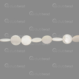 1114-0733-12mm - Lake Shell Bead Coin 12x2.5mm Natural 0.5mm hole 16\" String 1114-0733-12mm,nacre de perle 2 trous,montreal, quebec, canada, beads, wholesale
