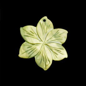 1114-1301-04 - Lake Shell Pendant Flower Six Petals 50MM Green 1pc 1114-1301-04,Pendant,Natural,Lake Shell,50MM,Flower,Flower,Six Petals,Green,Green,China,1pc,montreal, quebec, canada, beads, wholesale