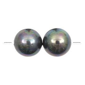 1114-5803-08 - Bille Perle de Coquillage Stellaris Rond 8MM Paon 25pcs 1114-5803-08,montreal, quebec, canada, beads, wholesale