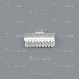 1703-0302-SL - Metal Ribbon Claw Connector 13MM Silver Nickel Free 100pcs 1703-0302-SL,Findings,Connectors,Ribbons claws,13mm,Metal,Ribbon Claw Connector,13mm,Grey,Silver,Metal,Nickel Free,100pcs,China,montreal, quebec, canada, beads, wholesale