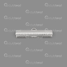 1703-0306-SL - Metal Ribbon Claw Connector 30mm Silver Nickel Free 50pcs 1703-0306-SL,Findings,Silver,Metal,Ribbon Claw Connector,30MM,Silver,Nickel Free,50pcs,China,montreal, quebec, canada, beads, wholesale