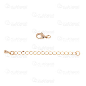 1755-1130-9904 - Gold Filled 14K End Chain Curb 3x4mm lenght 60mm with Fish Clasp 10mm and Drop charm 5pcs 1755-1130-9904,1755-,montreal, quebec, canada, beads, wholesale