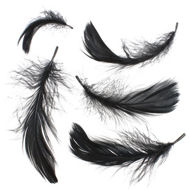 2501-0202-02 - Feather Duck Black 4-5'' app.7g. 2501-0202-02,montreal, quebec, canada, beads, wholesale