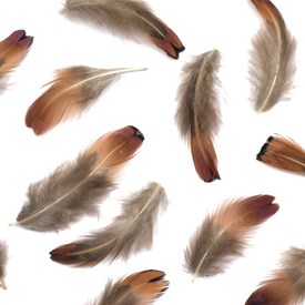 *2501-0204 - Feather Pheasant Raw 10g. *2501-0204,montreal, quebec, canada, beads, wholesale
