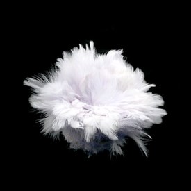 2501-0210-02 - Feather Hen White 2-4'' Bunch 2501-0210-02,montreal, quebec, canada, beads, wholesale