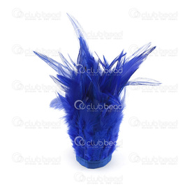2501-0211-22 - Plume Coq Bleu royal 10-15cm Bouquet(1m) 2501-0211-22,Feather,Rooster,Royal Blue,10-15cm,Bunch(1m),Chine,montreal, quebec, canada, beads, wholesale