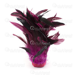2501-0211-24 - Plume Coq Effet paon Fuchsia 15-20cm Bouquet(1m) 2501-0211-24,Bunch(1m),Feather,Rooster,Peacock Shine in Fuchsia,15-20cm,Bunch(1m),Chine,montreal, quebec, canada, beads, wholesale