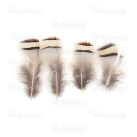 2501-0214-02 - Feather Pheasant White/Black/Beige App. 0.5'' 50pcs 2501-0214-02,faisan,montreal, quebec, canada, beads, wholesale