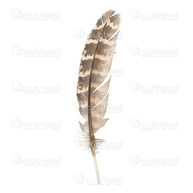 2501-0214-04 - Feather Female Pheasant Natural 10-15cm App. 8gr 50pcs 2501-0214-04,faisan,Feather,Female Pheasant,Natural,10-15cm,App. 8gr,China,montreal, quebec, canada, beads, wholesale