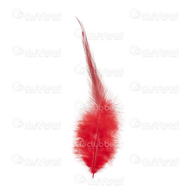 2501-0215-02 - Plume Coq Rouge App. 6.5gr 50pcs  12-15cm 2501-0215-02,Red,Feather,Rooster,Red,12-15cm,App. 6.5gr,Chine,montreal, quebec, canada, beads, wholesale