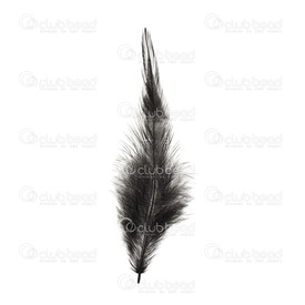 2501-0215-04 - Feather Rooster Black 12-15cm App. 6.5gr 50pcs 2501-0215-04,12-15cm,Feather,Rooster,Black,12-15cm,App. 6.5gr,China,montreal, quebec, canada, beads, wholesale