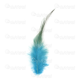 2501-0215-06 - Feather Rooster Turquoise 12-15cm App. 6.5gr 50pcs 2501-0215-06,App. 6.5gr,Feather,Rooster,Turquoise,12-15cm,App. 6.5gr,China,montreal, quebec, canada, beads, wholesale