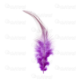 2501-0215-08 - Feather Rooster Purple 12-15cm App. 6.5gr 50pcs 2501-0215-08,coq,App. 6.5gr,Feather,Rooster,Purple,12-15cm,App. 6.5gr,China,montreal, quebec, canada, beads, wholesale