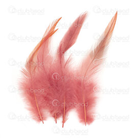 2501-0215-10 - Feather Rooster Old Fushia 12-15cm App. 6.5gr 50pcs 2501-0215-10,rooster,montreal, quebec, canada, beads, wholesale