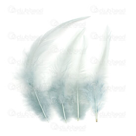 2501-0215-14 - Plume Coq Bleu Glace Pale App. 6.5gr 50pcs  12-15cm 2501-0215-14,Plumes naturelles,montreal, quebec, canada, beads, wholesale
