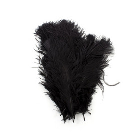 2501-0216-02 - Feather Ostrich Black 20-25cm 10pcs 2501-0216-02,autruche,montreal, quebec, canada, beads, wholesale