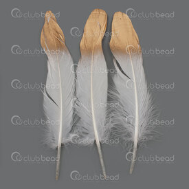 2501-0217-14 - Feather Goose white 14-22cm with gold point 50pcs 2501-0217-14,montreal, quebec, canada, beads, wholesale