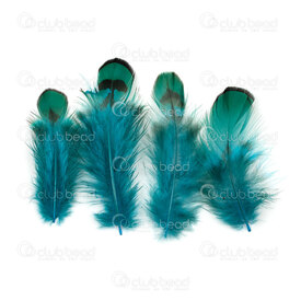 2501-0219-2 - Plume Faisan Sarcelle 5-7cm 50pcs 2501-0219-2,Plumes naturelles,montreal, quebec, canada, beads, wholesale
