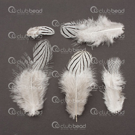 2501-0220 - Plume Canard Blanc/Gris/Brun 5g 2501-0220,Duck,Feather,Duck,White/Grey/Brown,2-4'',5g,montreal, quebec, canada, beads, wholesale