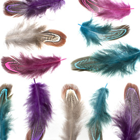 2501-0222 - Feather Pheasant Mix 2-3'' 5g. 2501-0222,faisan,Feather,Pheasant,Mix,2-3'',5g.,China,montreal, quebec, canada, beads, wholesale