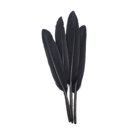 *2501-0223-10 - Feather Duck Black App. 15cm / 6'' 50pcs *2501-0223-10,Black,Feather,Duck,Black,App. 15cm / 6'',20pcs,China,montreal, quebec, canada, beads, wholesale