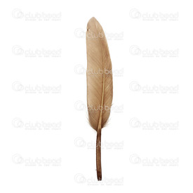 2501-0223-12 - Feather Duck Dark Brown 15cm 50pcs 2501-0223-12,15cm,Feather,Duck,Dark Brown,15cm,50pcs,China,montreal, quebec, canada, beads, wholesale