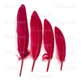 2501-0223-22 - Plume Canard Bourgogne 15cm 50pcs Chime 2501-0223-22,Plumes naturelles,montreal, quebec, canada, beads, wholesale