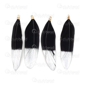 2501-0223-26 - Feather Duck Black with Silver Spray 7-9cm With Silver Connector 20pcs 2501-0223-26,CONNECTEUR,montreal, quebec, canada, beads, wholesale