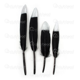 2501-0223-28 - Plume Canard Noir Embout Peint Argent 10-15cm 20pcs 2501-0223-28,Plumes naturelles,montreal, quebec, canada, beads, wholesale