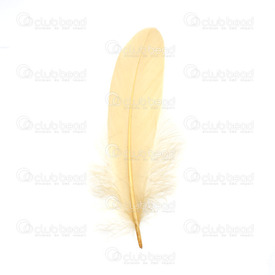 2501-0224-04 - Feather Goose Dark Sand App. 20cm 50pcs 2501-0224-04,gooS,App. 20cm,Feather,Goose,Dark Sand,App. 20cm,50pcs,China,montreal, quebec, canada, beads, wholesale