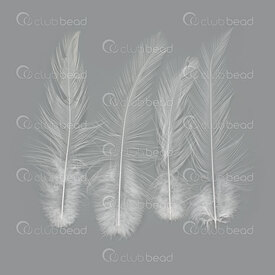 2501-0224-12 - goose feather 8-12cm, 100pcs, white 2501-0224-12,2501-0224,montreal, quebec, canada, beads, wholesale