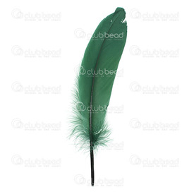 2501-0224-22 - Plume Oie Vert 15-25cm App.7g. 2501-0224-22,Feather,Goose,Green,15-25cm,app.7g.,Chine,montreal, quebec, canada, beads, wholesale