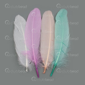 2501-0224-MIX - Feather Goose Pastel Mix 20cm 50pcs 2501-0224-MIX,Feathers natural,montreal, quebec, canada, beads, wholesale
