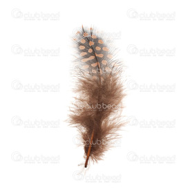 2501-0225-06 - Feather Dotted Guinea Fowl Brown 5-10cm 4gr 2501-0225-06,5-1,montreal, quebec, canada, beads, wholesale