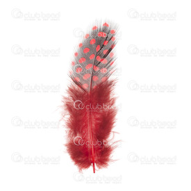 2501-0225-08 - Plume Pintade avec points Rouge 4gr  5-10cm 2501-0225-08,Feather,Dotted Guinea Fowl,Red,5-10cm,4gr,Chine,montreal, quebec, canada, beads, wholesale